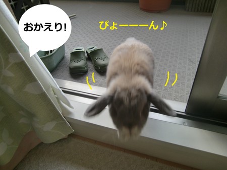 咲いた5