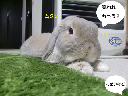 ねぐせ4