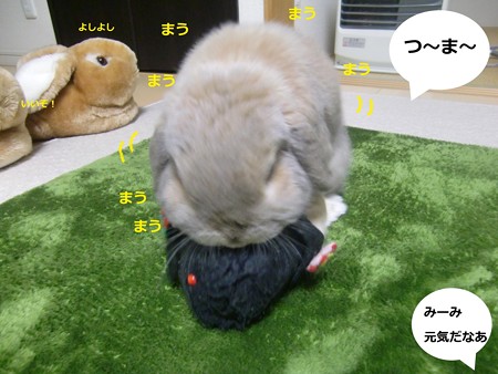 遊ぶ5