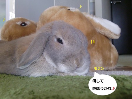 遊ぶ6