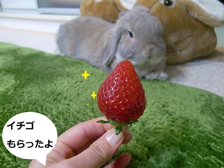 いちご1