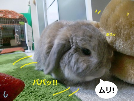 いちご5