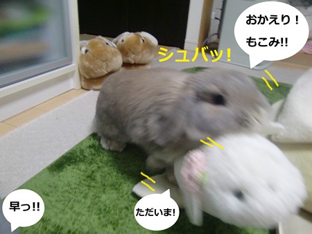 もこみ1
