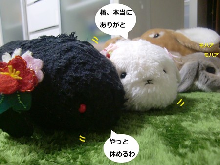 もこみ4