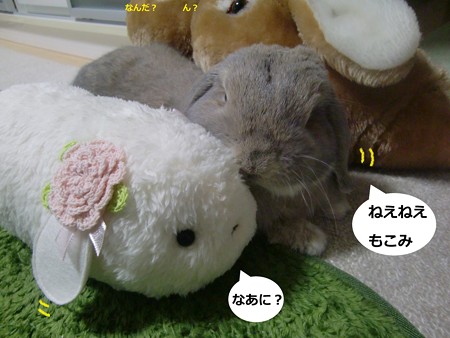 仲良し2
