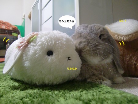 仲良し3