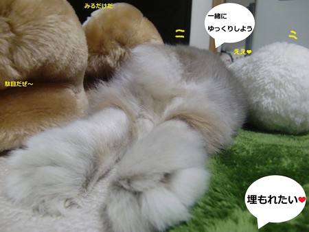 ぬくもり4