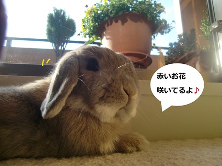 太陽0