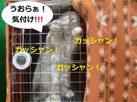 あ4