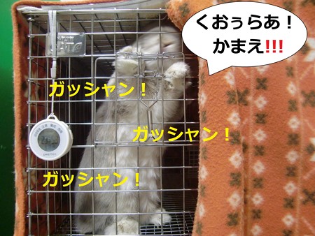 あ5