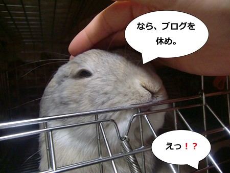 い6
