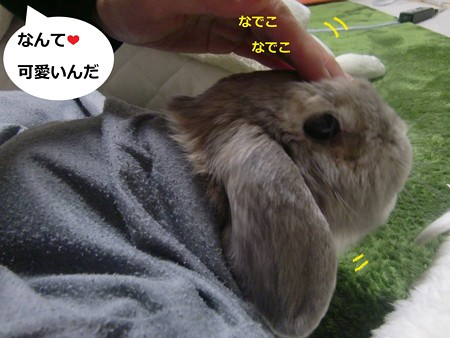 囲む1