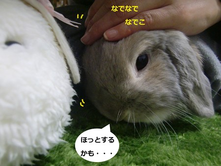 囲む3