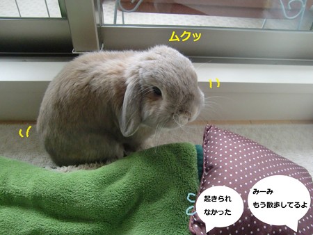 おはよう2