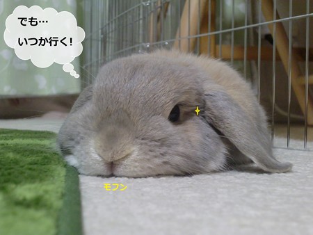 わかった4