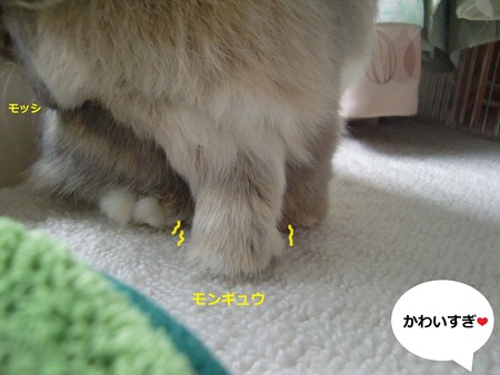 しぐさ3