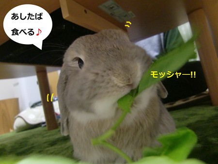 応援3