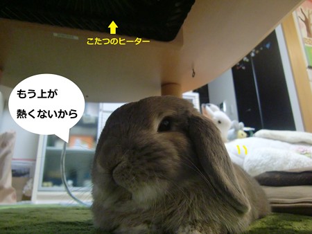 コロン3