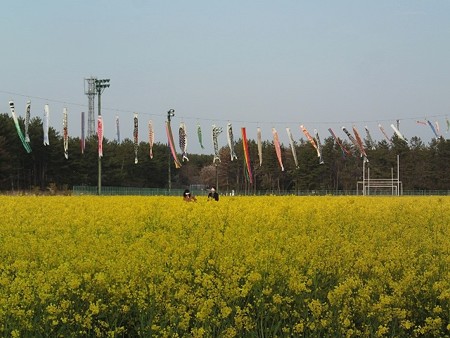 28 GW 秋田 大潟温泉 ボルダー潟の湯
