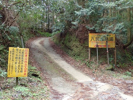 31 3 鹿児島 八尻鉱泉 1