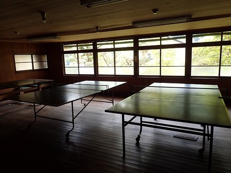 30 9 長野 田沢温泉 ますや旅館 7