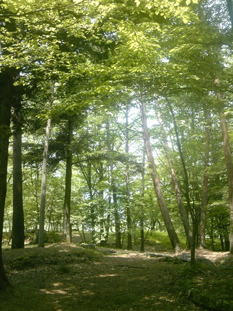 DVC00989