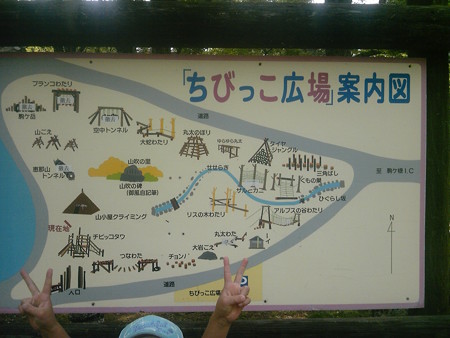 DVC00993