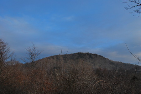 DSC_0683