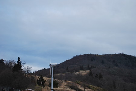 DSC_0695