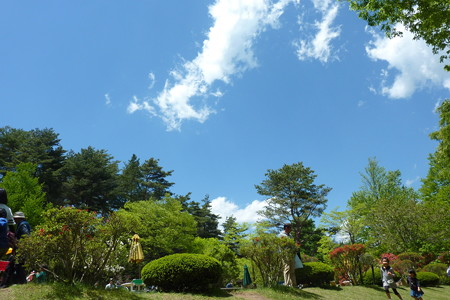P1120591