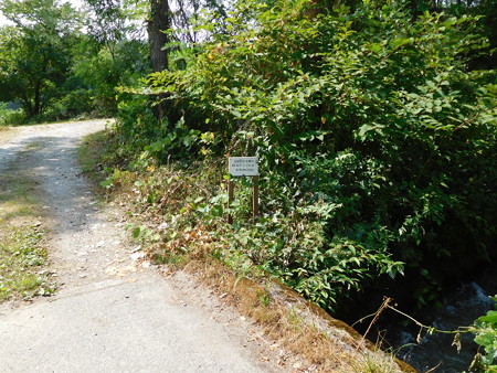 DSCN3739