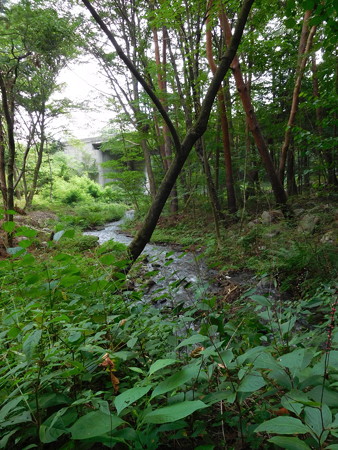 DSCN3769