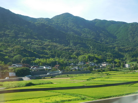DSCN3805