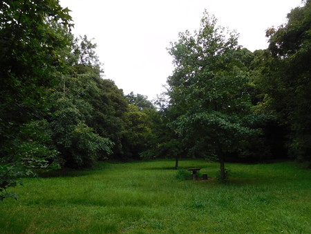DSCN3869