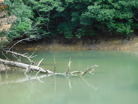 DSCN3886