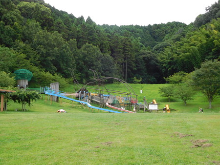 DSCN3893