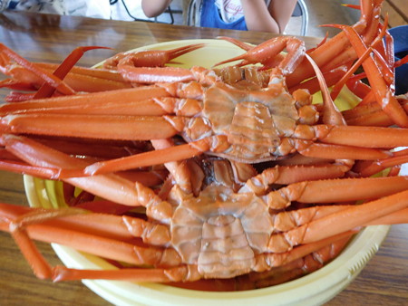DSCN3955