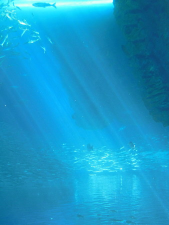 DSCN4006