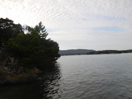 DSCN4310