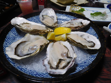 DSCN4320
