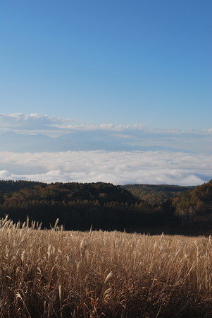 DSC_0438