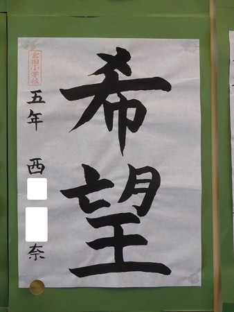 DSCN4473