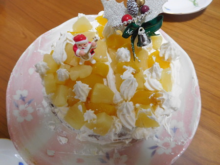 DSCN4524