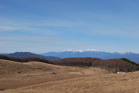 DSC_0201