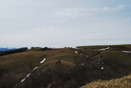 DSC_0204