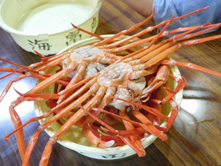 DSCN4946
