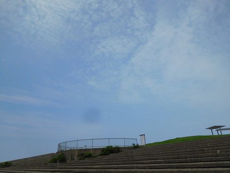 DSCN4964