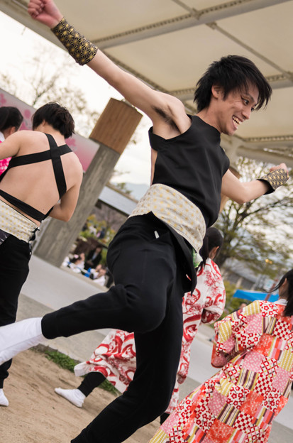 京都さくらよさこい2016 ?燐