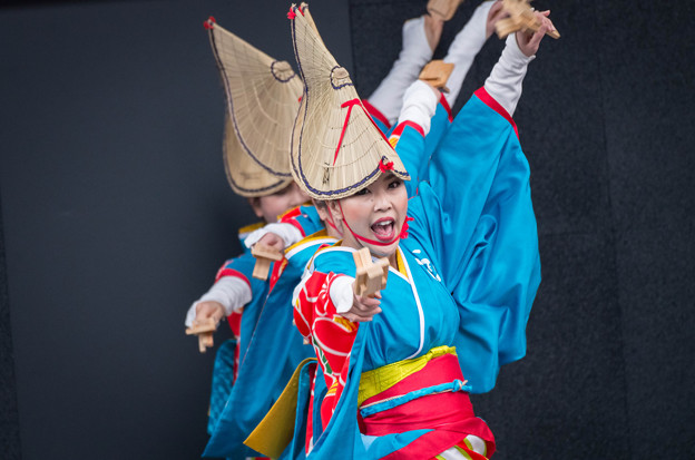 京都さくらよさこい2016 いなん