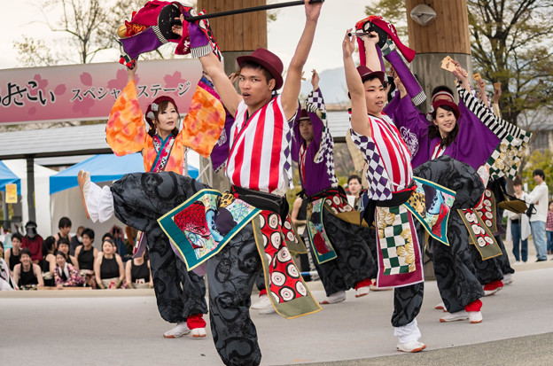 京都さくらよさこい2016 夢源風人